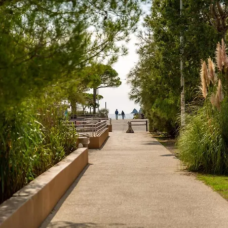 The Sunshine- Cozy-Sea View - Beach- Host Provence La Seyne-sur-Mer Exterior photo